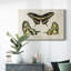 Toile tendue avec craquelures I-Gallery-2012426379