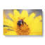 Bee Collecting Pollen in Abstract - Wrapped Canvas-55313889