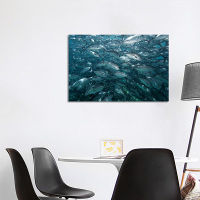 Bigeye Trevally School Swimming Off Sipadan Island, Celebes Sea, Borneo 1 Piece Wrapped Canvas Wall Art