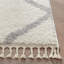 Cabana Off-White Celosia Moroccan Trellis Shag Rug-39723756