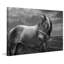 Back to Your Roots 1 Piece Wrapped Canvas Wall Art-1912729316