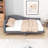 Ceryis Linen Upholstered Daybed with Armrest-1005253813-1005253802