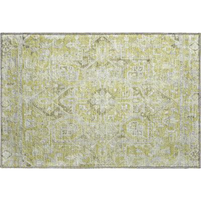 Premium Machine Washable Cerrito AMF570 Aloe Rug