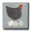 Art mural sur toile Gracie Oaks «Fresh Eggs 1 No Words» par Sue Schlabach, 26 po x 26 po-1299248020