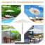 Goggins 300cm Market Parasol-687080573