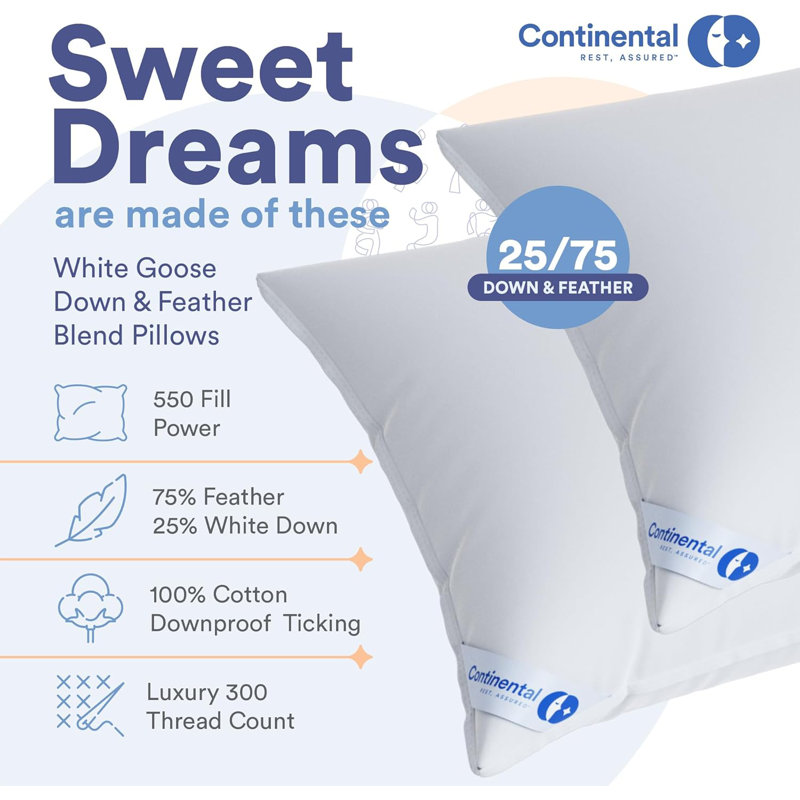 Cotton Indoor/Outdoor Pillow Insert (Pack of 1), 25% Down / 75% Feather