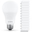 Ampoule DEL Luxrite A19 12,5W = 100W 2700K Blanc chaud 1500LM Ampoule à DEL standard à intensité non réglable E26 homologuée pour les ampoules étanches