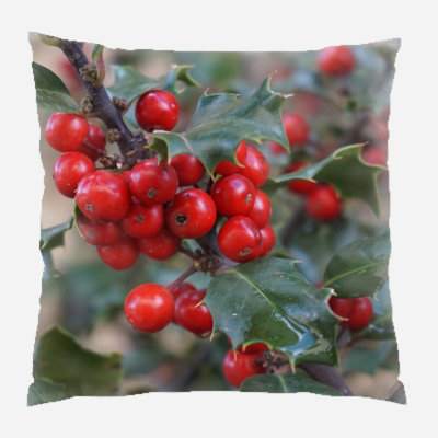 Canvas Outdoor Reversible Throw Pillow