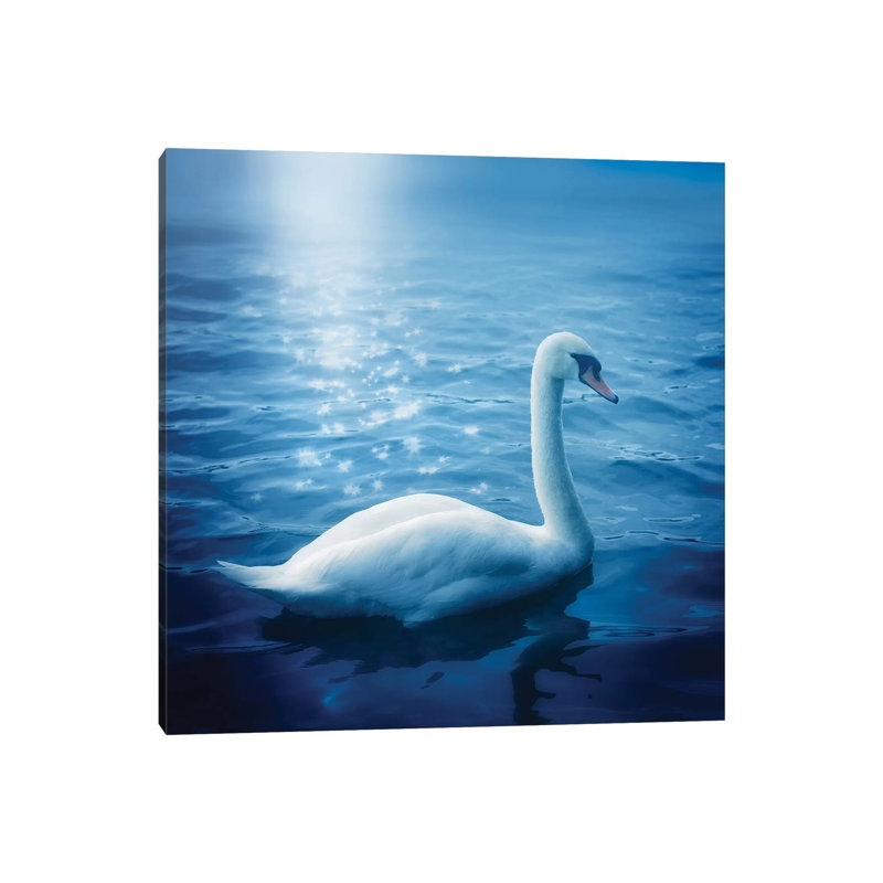 Swan And Starbursts - Wrapped Canvas Print, 45.72 cm H x 45.72 cm W x 3.175 cm D