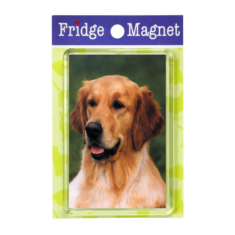 Fridge Magnet