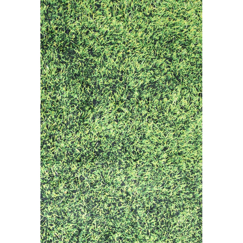 Premium Hall Carpet, 100% Polyester, 39.4 x 78.7 Inches | 4 mm Pile Height, 10 mm Total Thickness | Antibacterial, Non-Slip Underside, Machine Washable | Perfect for Entryway, Living Room & Home Décor