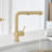 Linus Low Arc Pull-Out Dual-Spray Kitchen Faucet-66477604