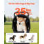 Poussette pour animal de compagnie, capacité de poids de 44 lb, chariot pliable pour poussette pour chien, poussette pour chat à 4 roues avec fenêtres en filet et poignée réversible, poussette portative pour animal avec frein, pour petits et moyens animaux de compagnie
