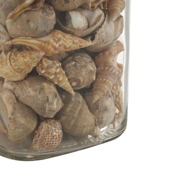 Cole And Grey Glass Orbs & Vase Filler With Various Cream And Brown Seashells And Jute Rope Accents