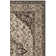 Allie Performance Oriental Rug