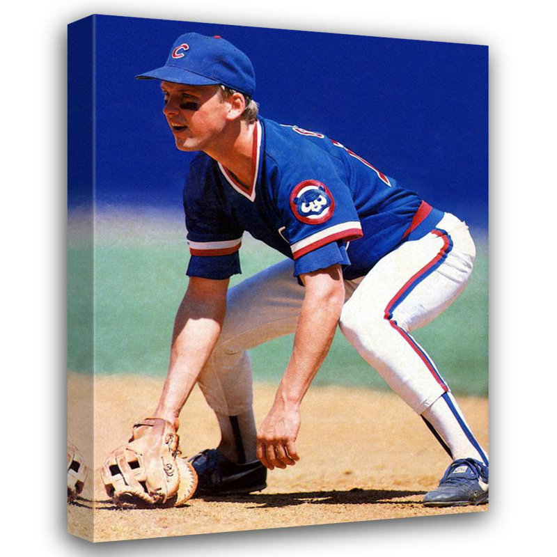 Mark Grace, H 18 po x l 13 po