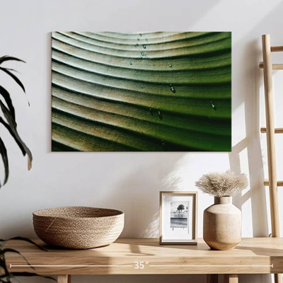 Harnek Banana Leaf Dripping Droplets