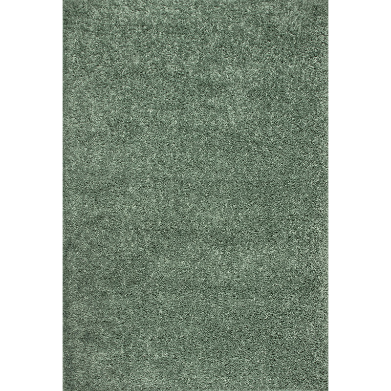 Abbiney Performance Shag Green Rug, Rectangle 4' x 6'