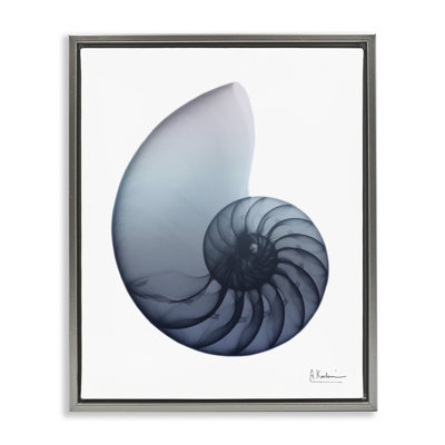 " Contemporary Nautilus Shell " by Albert Koetsier