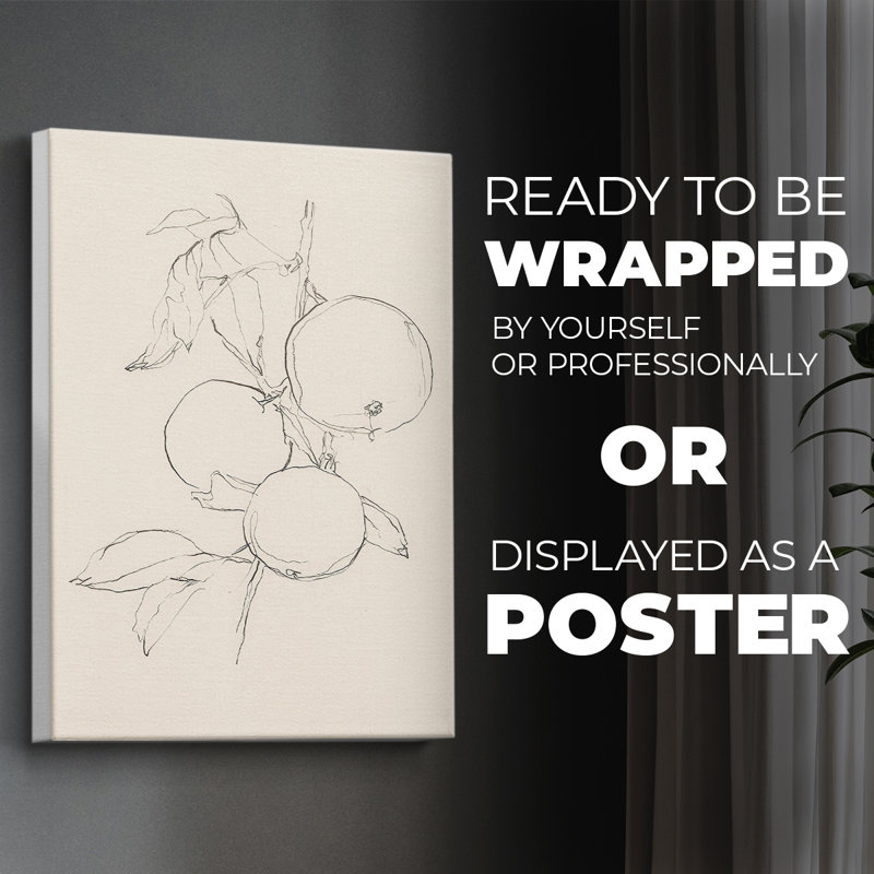 Fruit Contour Study I -Canvas Print Only - NOT FRAMED, 18" H x 12" W