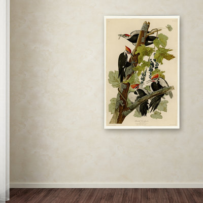 « pileated woodpeckers » par john james audubon, reproduction d’art sur toile tendue