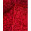 Cuayo One-of-a-Kind 6' 1" X 6' 1" Hand Knotted Area Rug