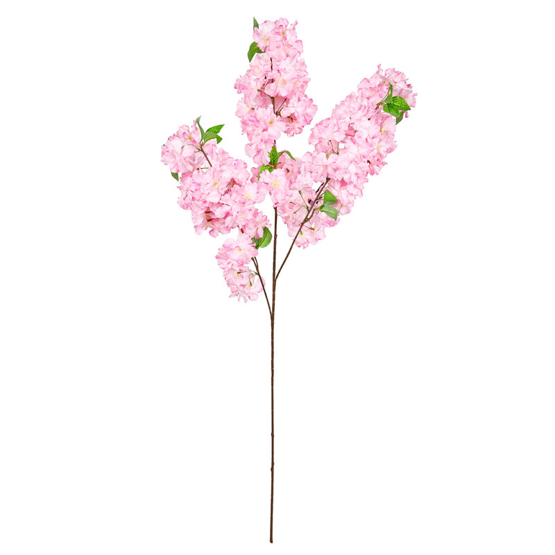Jet de fleurs de cerisier, Rose
