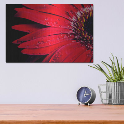 " Red Gerbera With Waterdrops 03 " by Tom Quartermaine