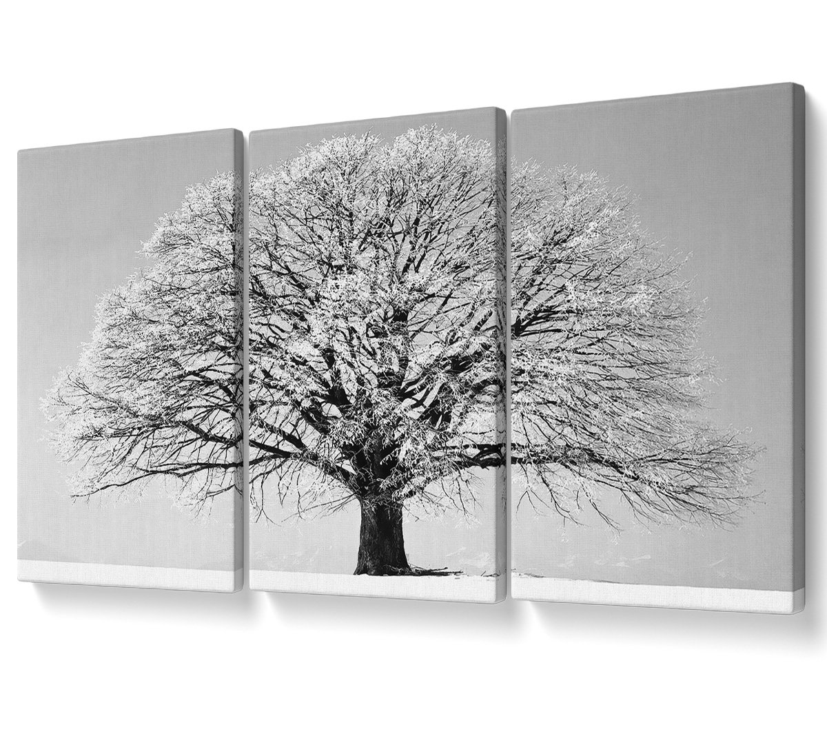 Ebern Designs Winter Snow Tree B N W - 3 Piece Wrapped Canvas Graphic ...