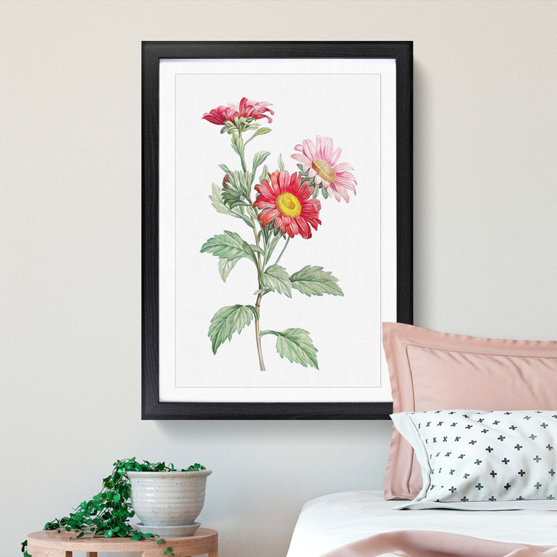 Red Aster Flowers by Pierre-Joseph Redoute - Picture Frame Painting Print, 36cm H x 27cm W x 2cm D, Black Framed