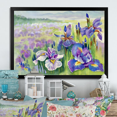 " Iris Field In Summer "