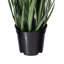 Ray-vert en pot artificiel-22996685