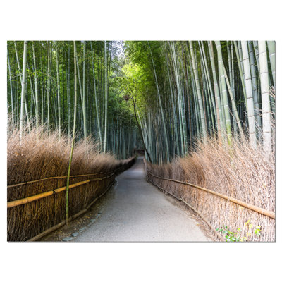 Paysage, chemin en bambou, art mural sur toile - Chemin en bambou