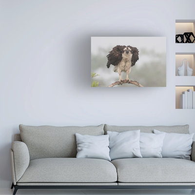 «Alfred Forns Nervous To Fly Today», art sur toile