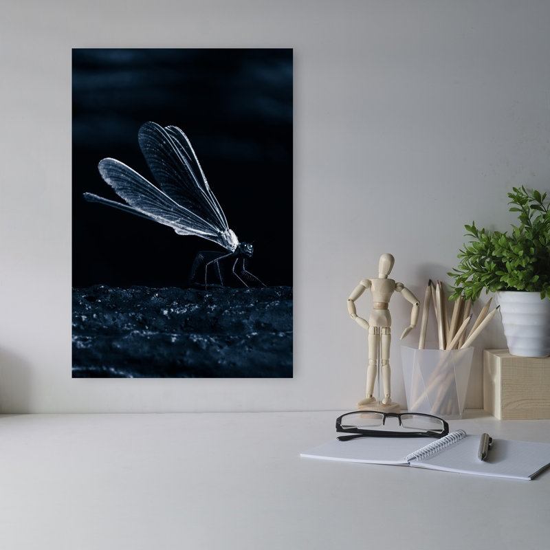 Dark Dragonfly Wings Dramatic Elegant Ethereal Dragonfly Nature Wildlife Wall Art Print 1 Piece Wrapped Canvas Wall Art