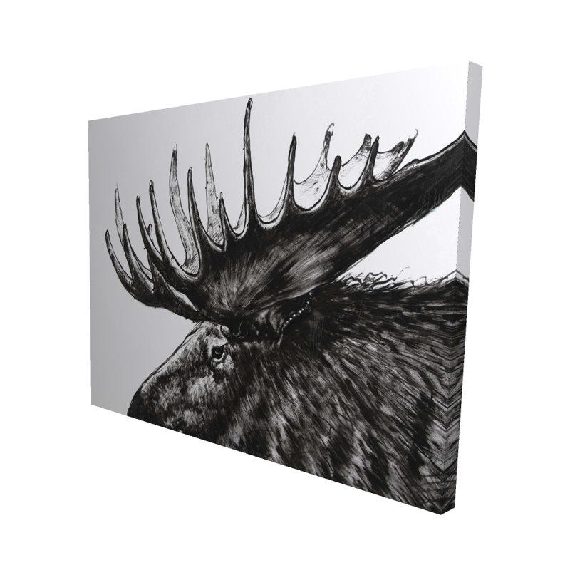 Plume d'orignal - Toile Hygge pour animaux de compagnie