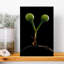 Ant'S Incredible Strength Minimalist Vibrant Ant Nature Plant Wall Art Print 1 Piece Wrapped Canvas Wall Art-1540445977