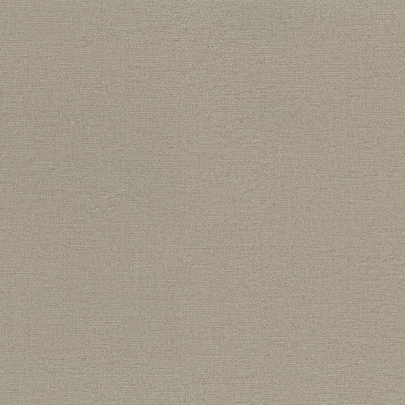 Rouleau de papier peint L 33 pi x l 21 po Bryianna, Gris/vert