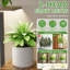 Plant Stand - Set of 2