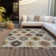 Chayden Washable Ikat Indoor / Outdoor Rug
