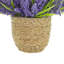 Heather dans un pot de paille-1477215129