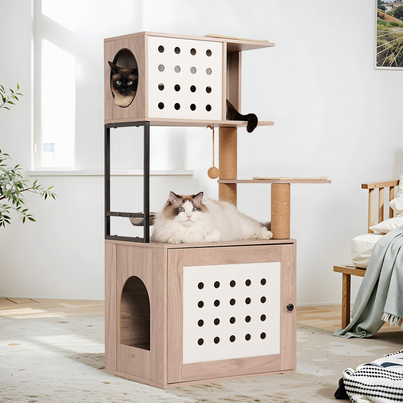 Arbre à chat avec litière, station d'alimentation, poteaux à griffer