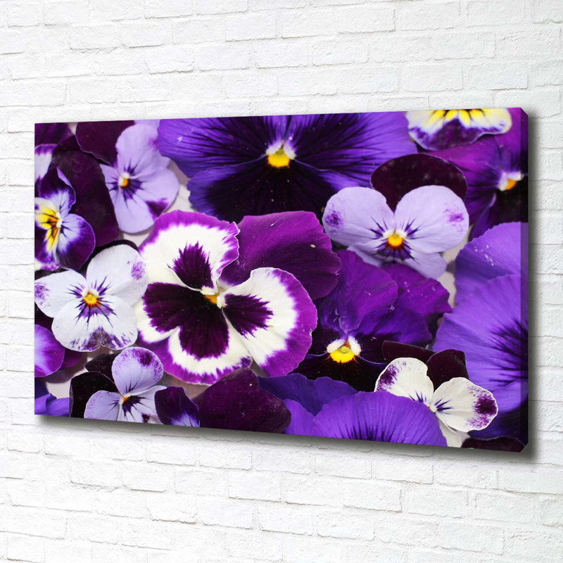 Pansies - Wrapped Canvas Print