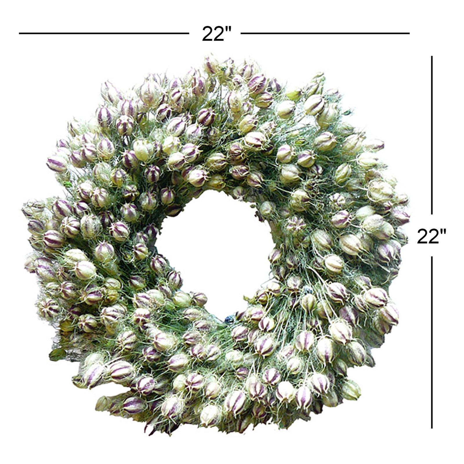 Dried Nigella Spring Wreath, 22" H x 22" W x 5" D