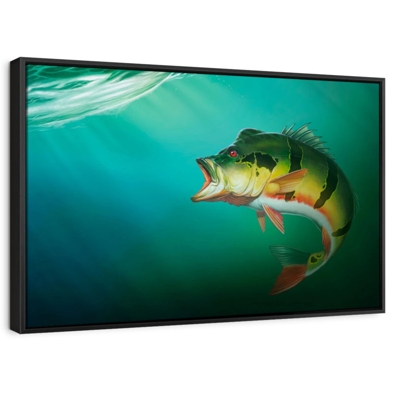 «Peacock Bass», reproduction sur toile, H 21 po x l 31 po