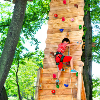 VEVOR PP Copolymer Climbing Rocks