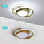 Modern 27cm Gold Round LED Ceiling Light