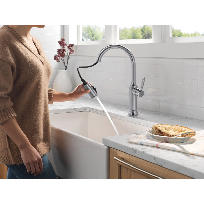 Robinet de cuisine en nickel brossé avec douchette rétractable Renaldi, robinet d'évier de cuisine monotrou moderne, poignée simple, acier inoxydable arctique Lumicoat