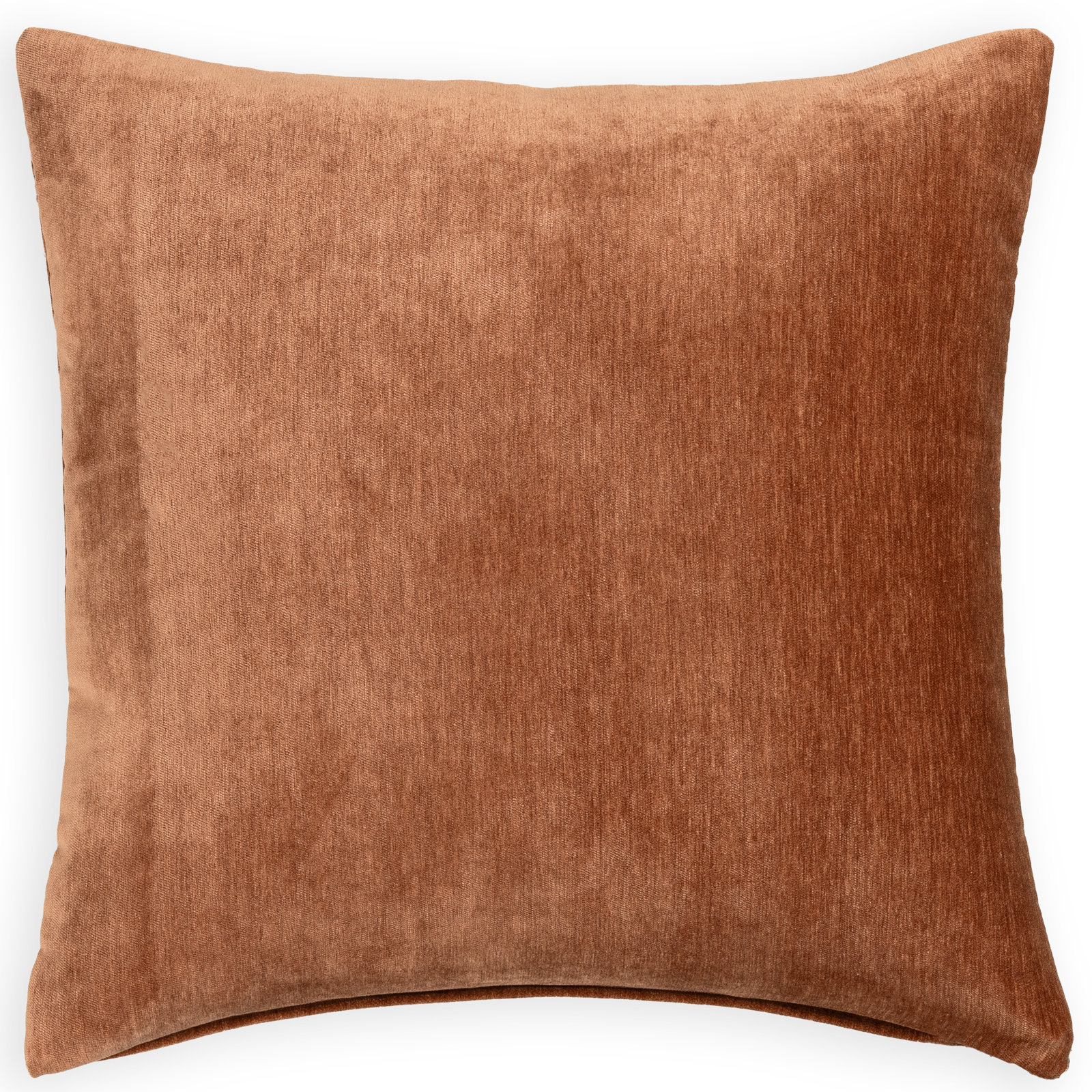Renley Throw Pillow, Rust, Feather, 20" x 20"