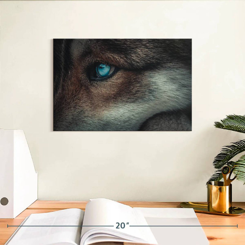 Loup aux yeux bleus Brampt, H 8 po x l 12 po